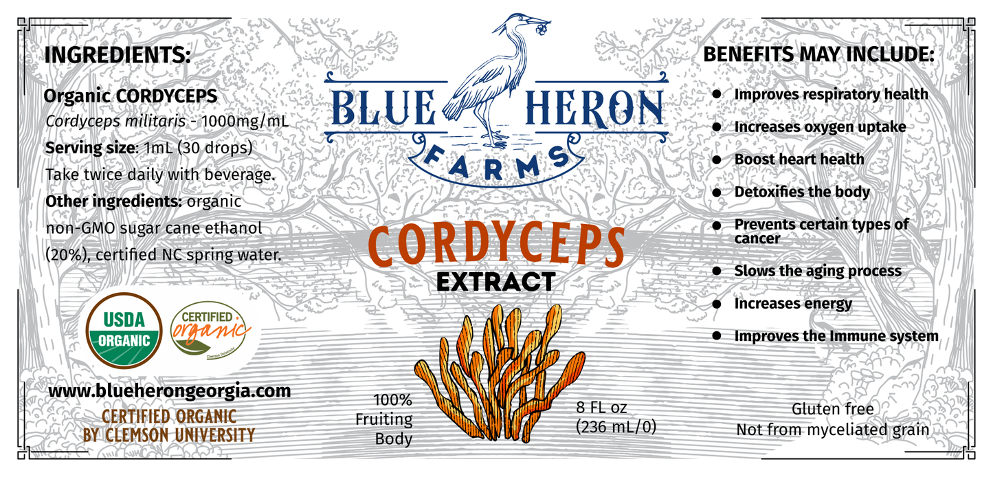 Cordyceps Tincture-8oz