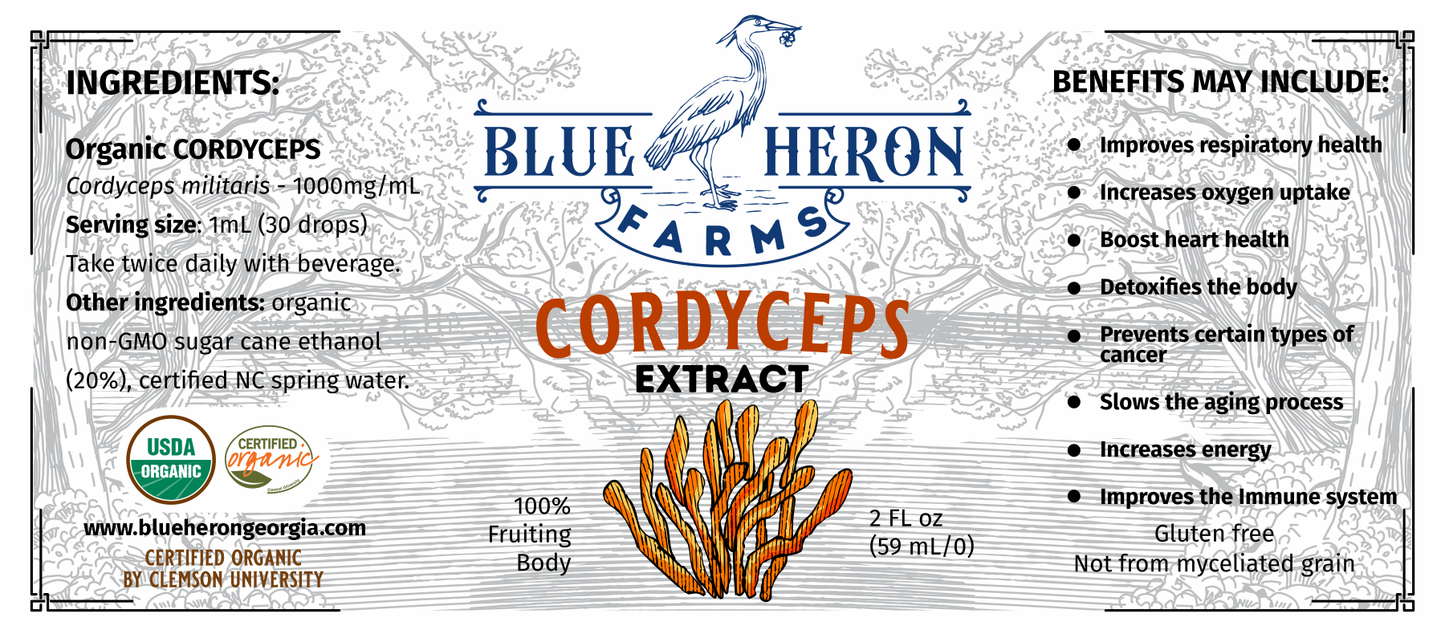 Cordyceps Tincture-2oz