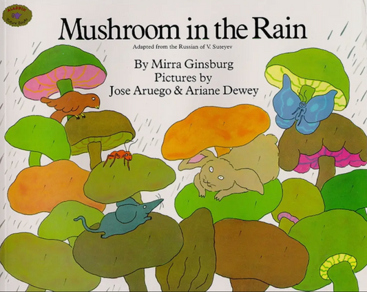 Mushroom in the Rain