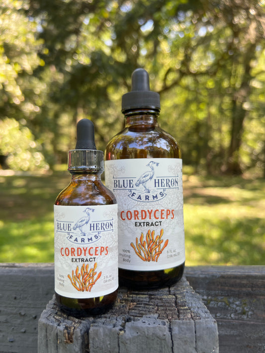 Cordyceps Tincture-2oz