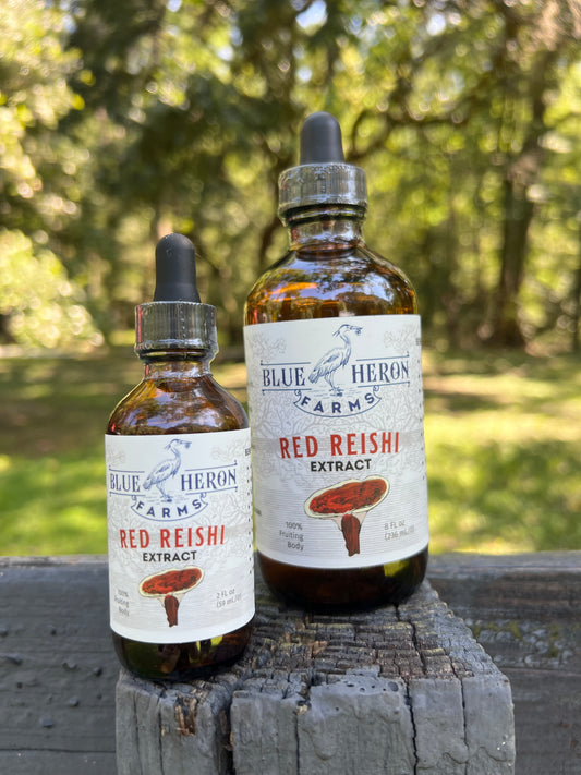 Reishi Tincture-2oz