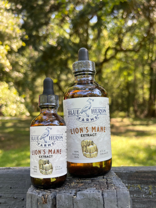 Lion's Mane Tincture-2oz