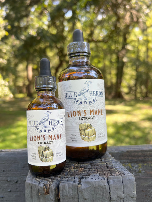Lion's Mane Tincture-8oz